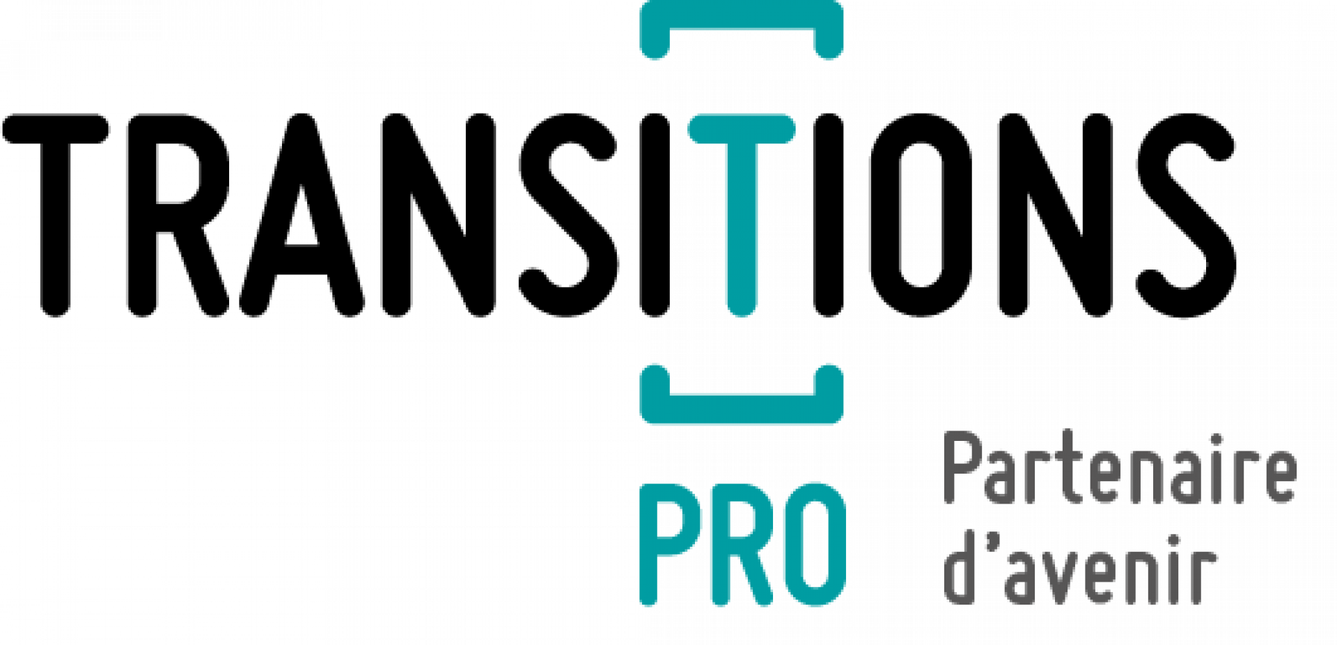 Logo Transitions Pro